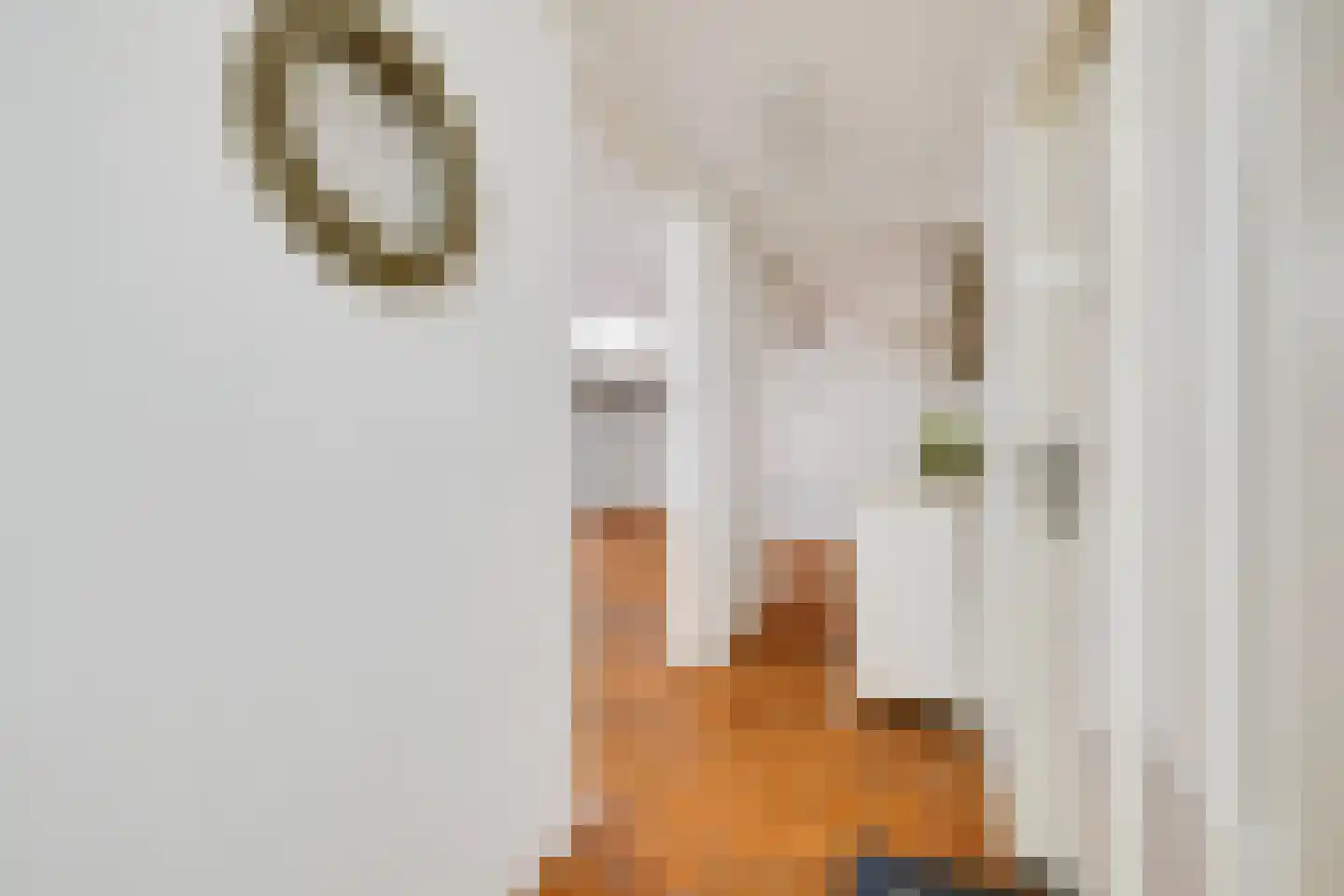Treverilaan 6 Apeldoorn thumbnail 47