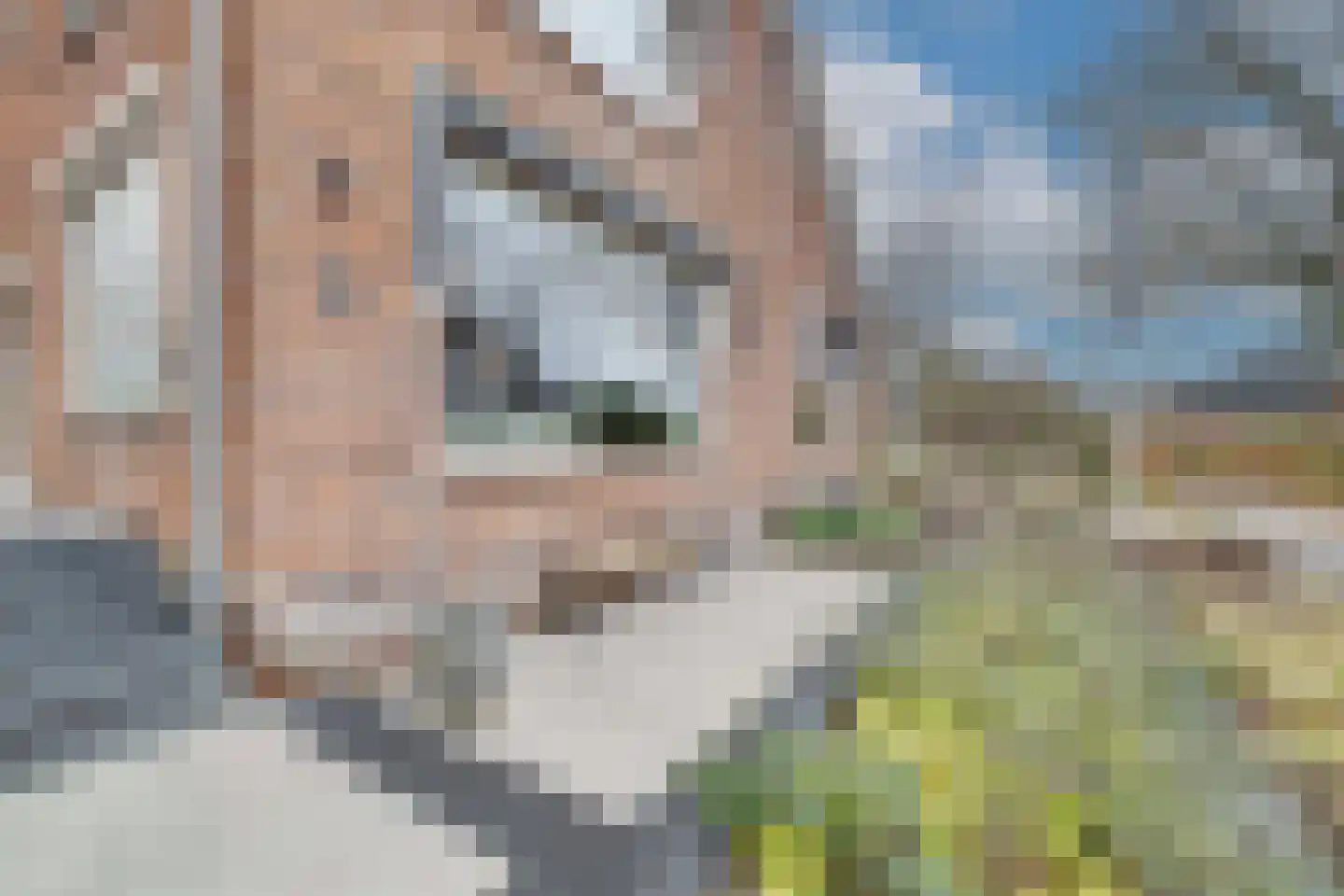 Treverilaan 6 Apeldoorn thumbnail 57
