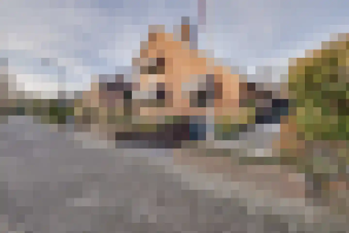 Treverilaan 6 Apeldoorn thumbnail 59