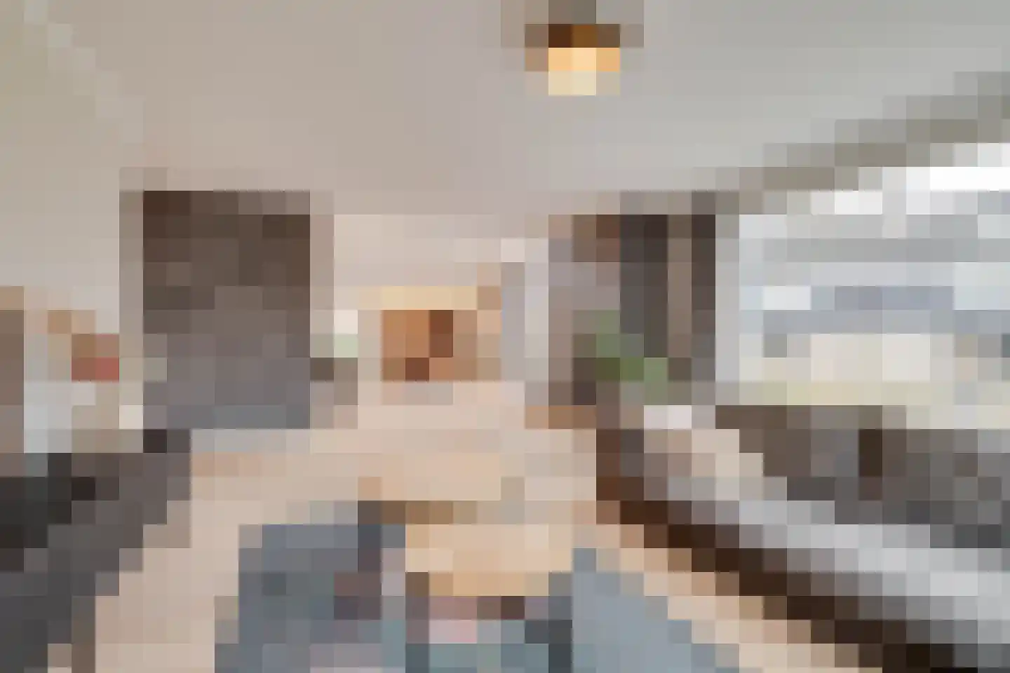 Treverilaan 6 Apeldoorn thumbnail 6