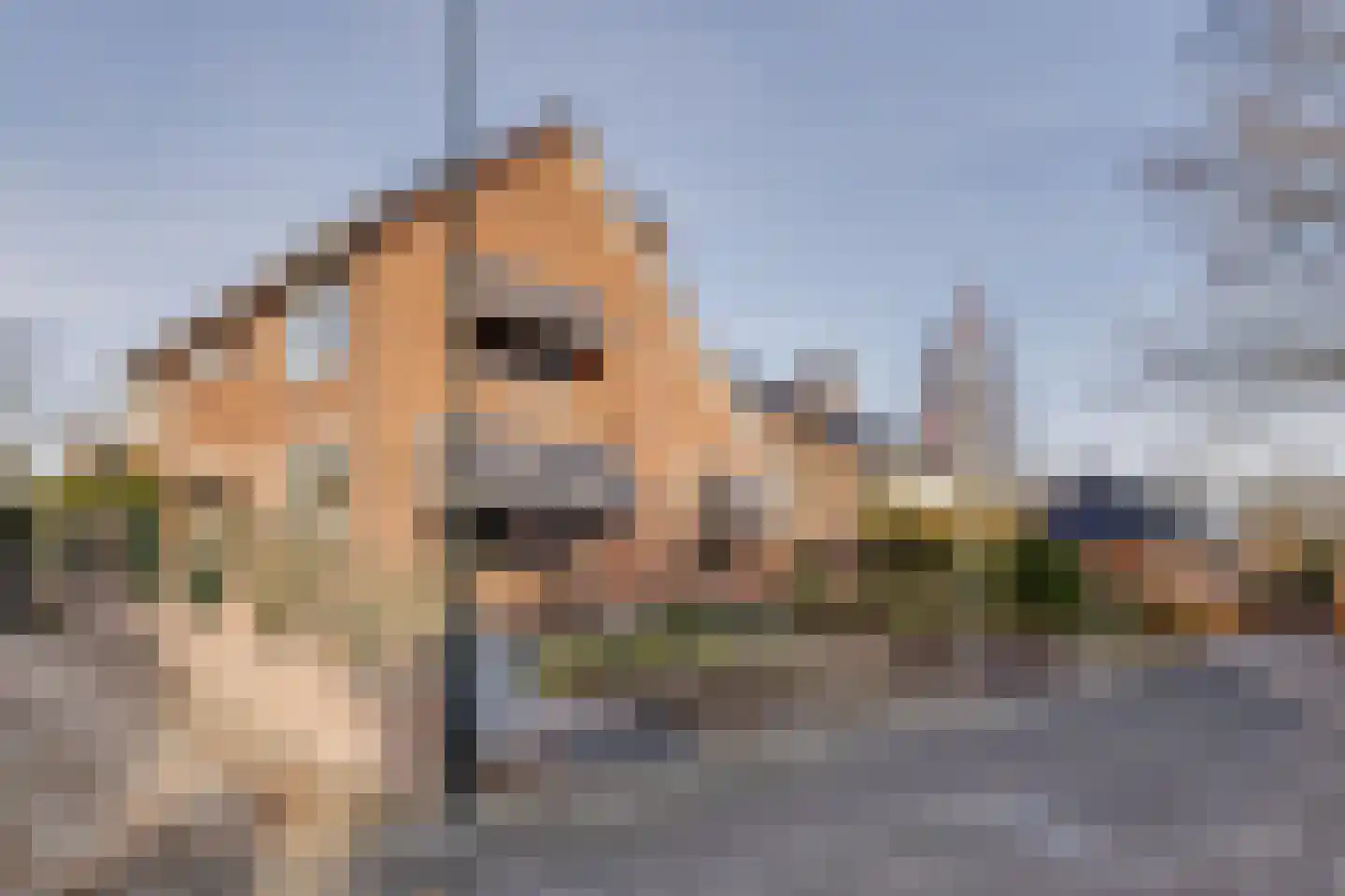 Treverilaan 6 Apeldoorn thumbnail 60