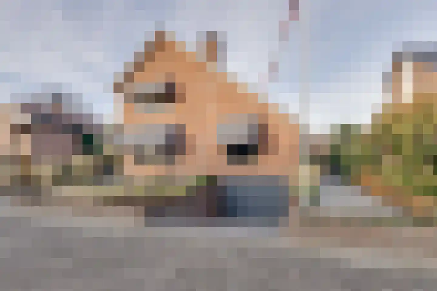 Treverilaan 6 Apeldoorn thumbnail 61