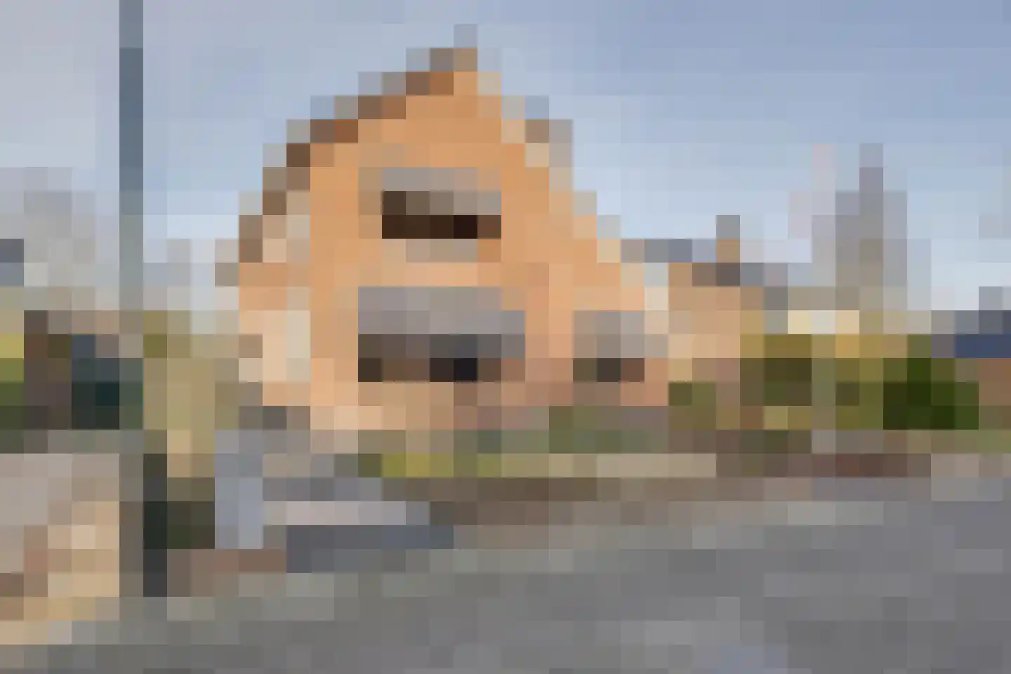 Treverilaan 6 Apeldoorn thumbnail 62