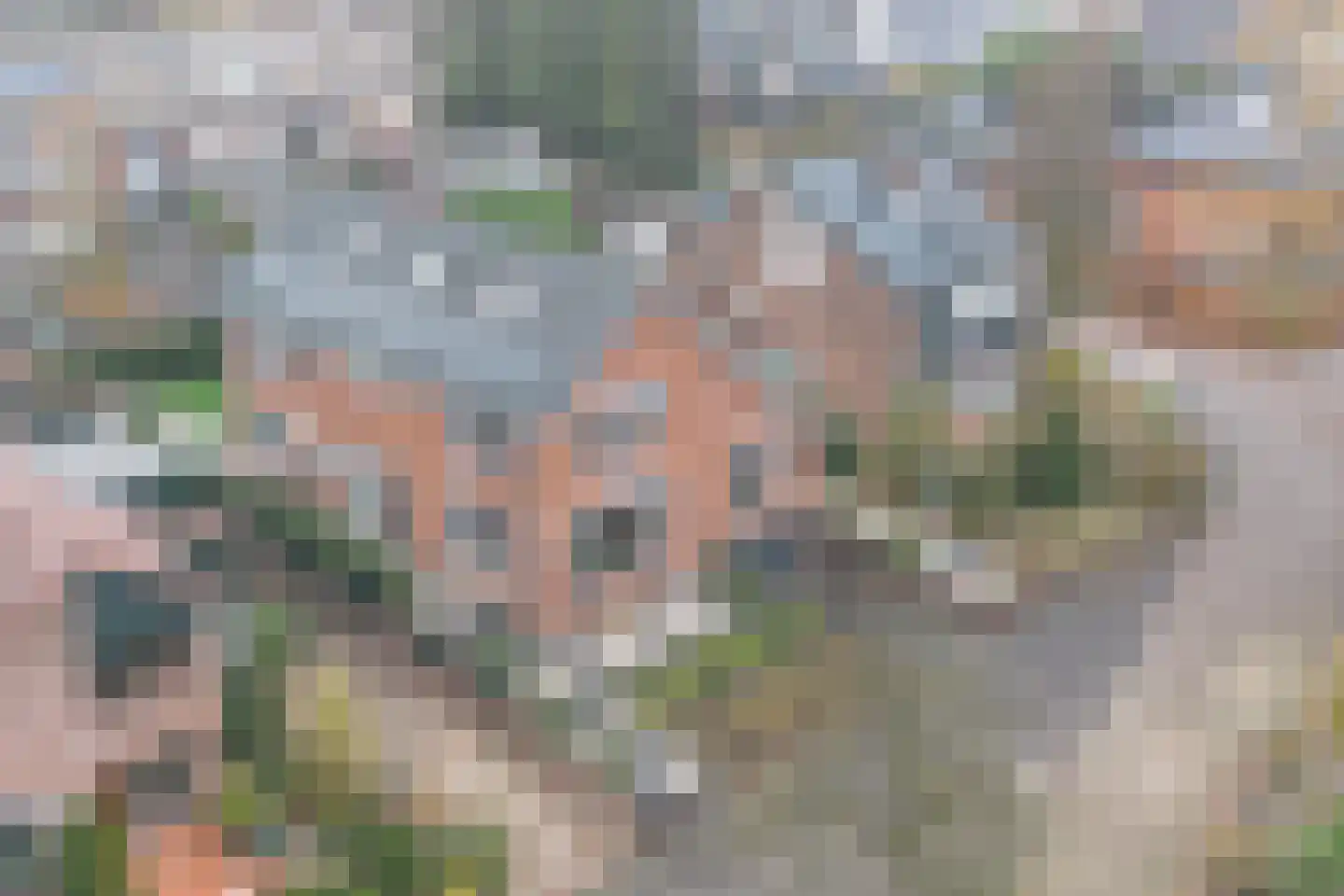 Treverilaan 6 Apeldoorn thumbnail 65