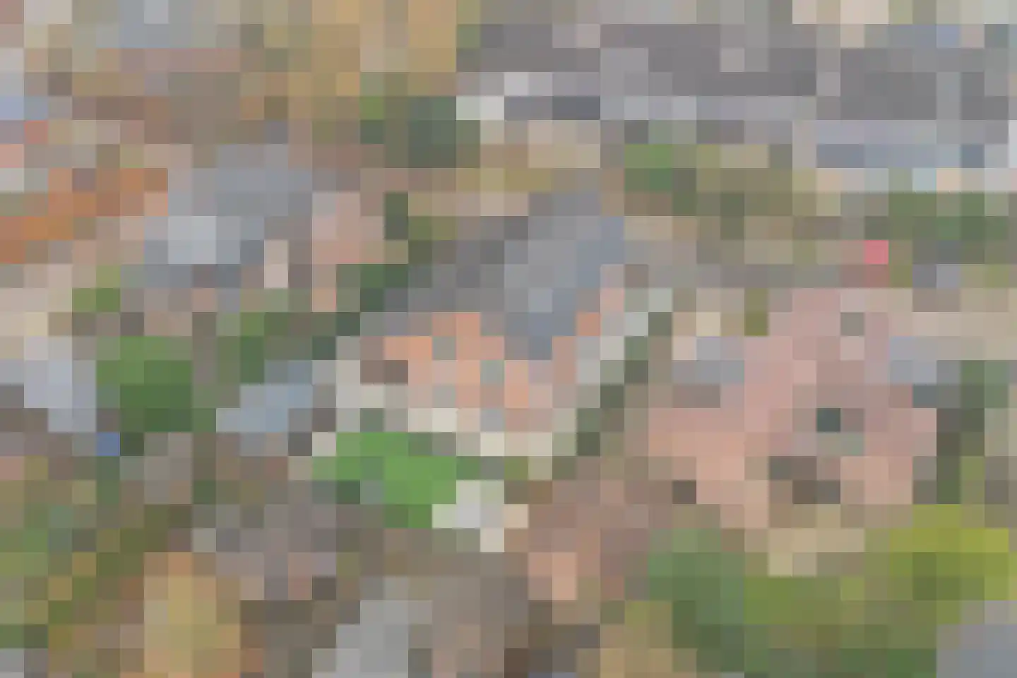 Treverilaan 6 Apeldoorn thumbnail 66