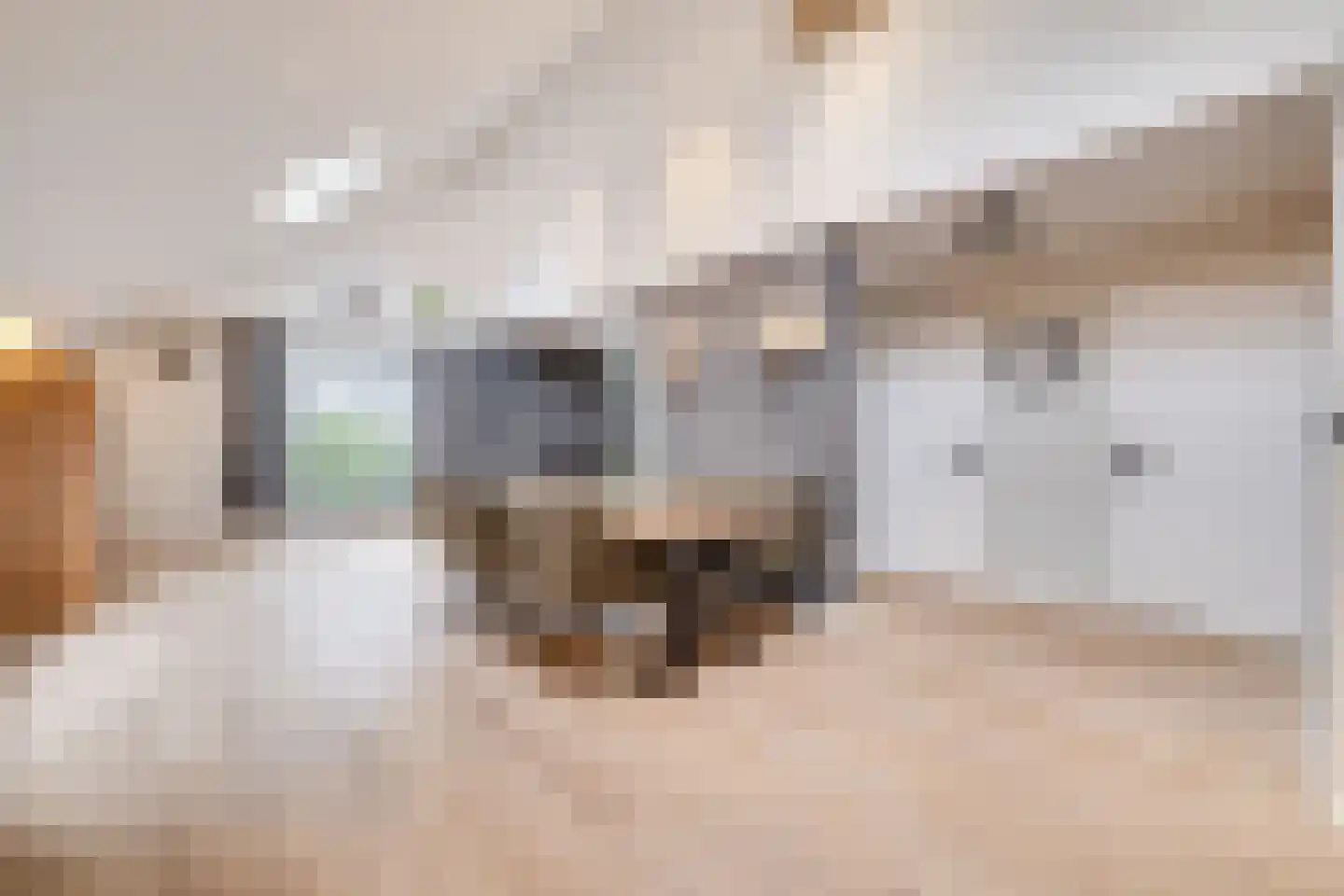 Treverilaan 6 Apeldoorn thumbnail 8