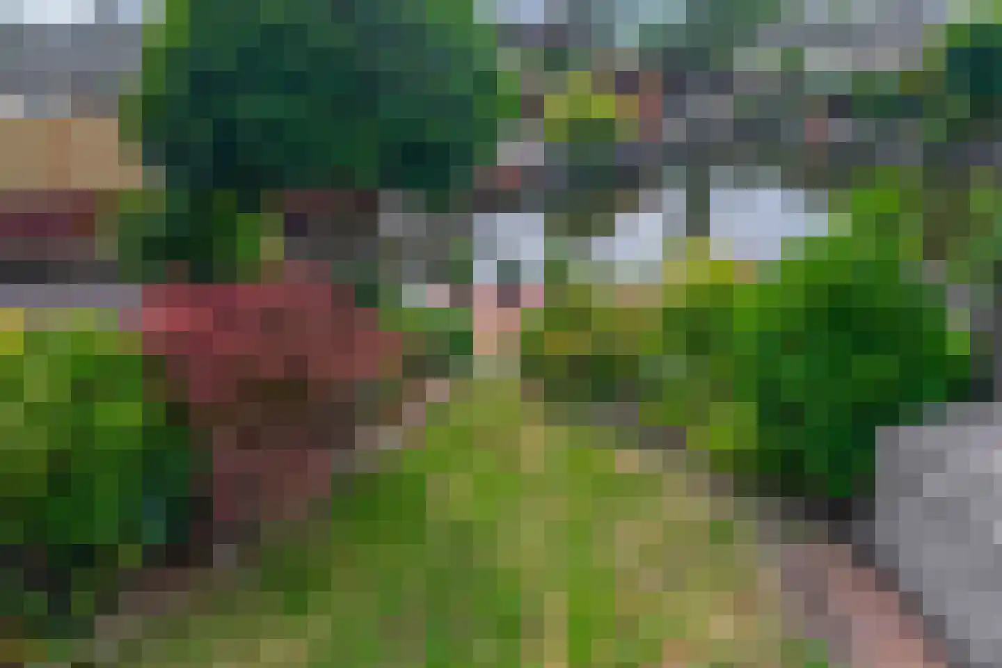 Treviso 22 Krimpen aan den IJssel thumbnail 36