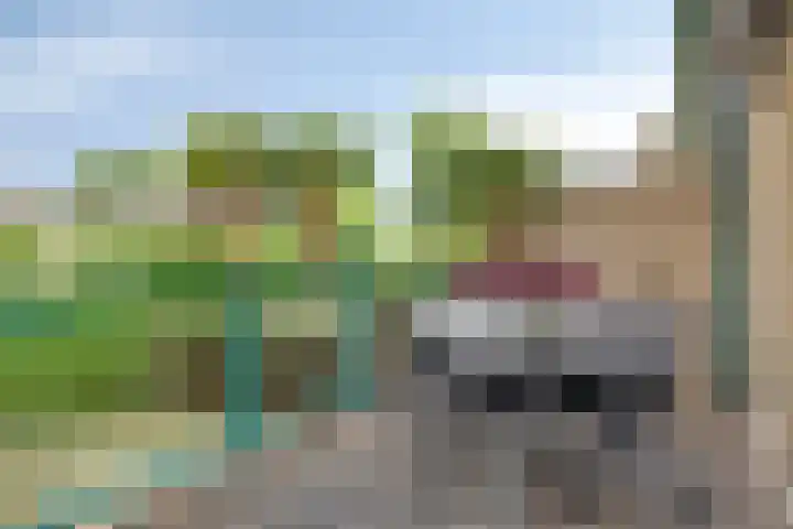 Treviso 24 Krimpen aan den IJssel thumbnail 27