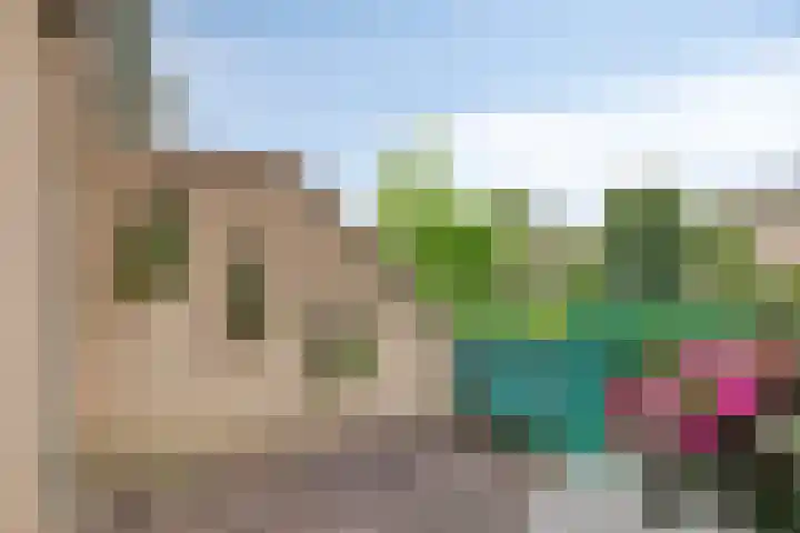 Treviso 24 Krimpen aan den IJssel thumbnail 28