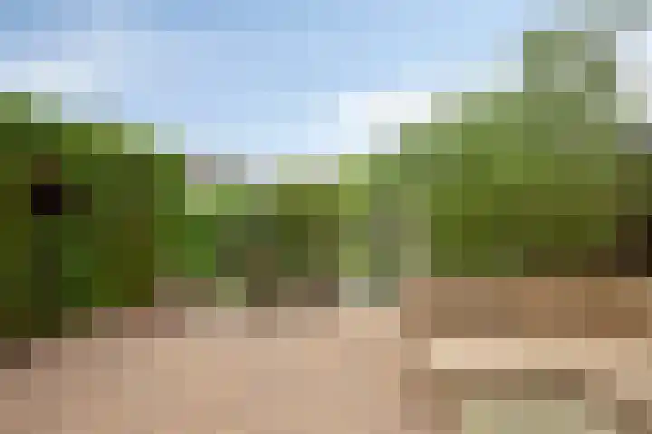 Treviso 24 Krimpen aan den IJssel thumbnail 29