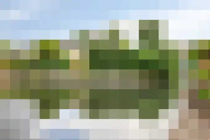 Treviso 24 Krimpen aan den IJssel thumbnail 30