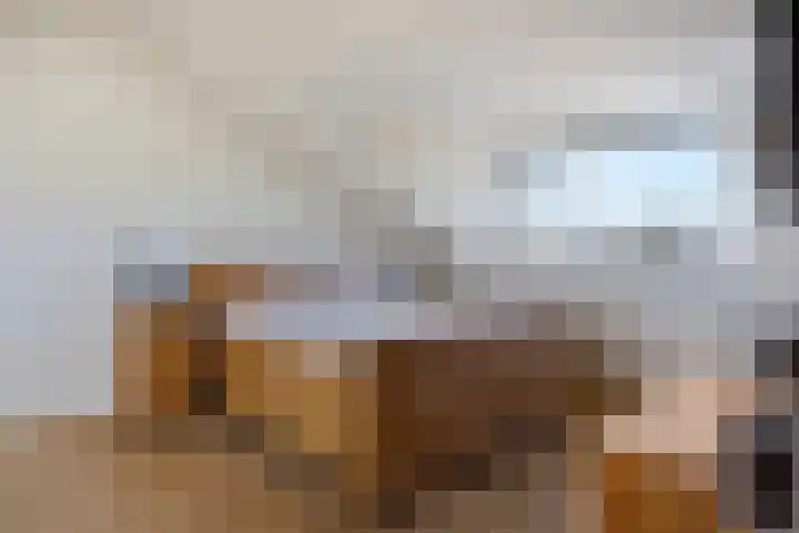 Treviso 24 Krimpen aan den IJssel thumbnail 4