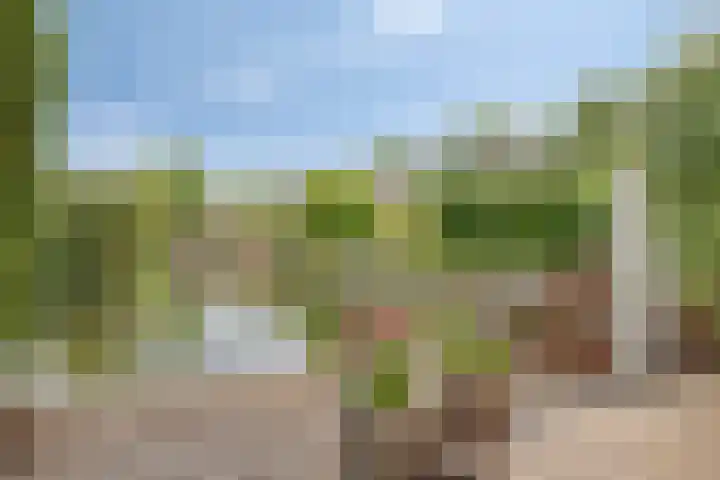 Treviso 24 Krimpen aan den IJssel thumbnail 5