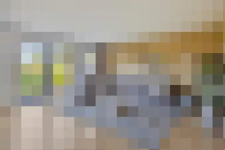 Treviso 24 Krimpen aan den IJssel thumbnail 6