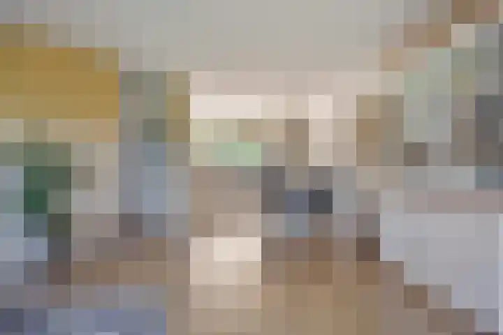 Treviso 24 Krimpen aan den IJssel thumbnail 7