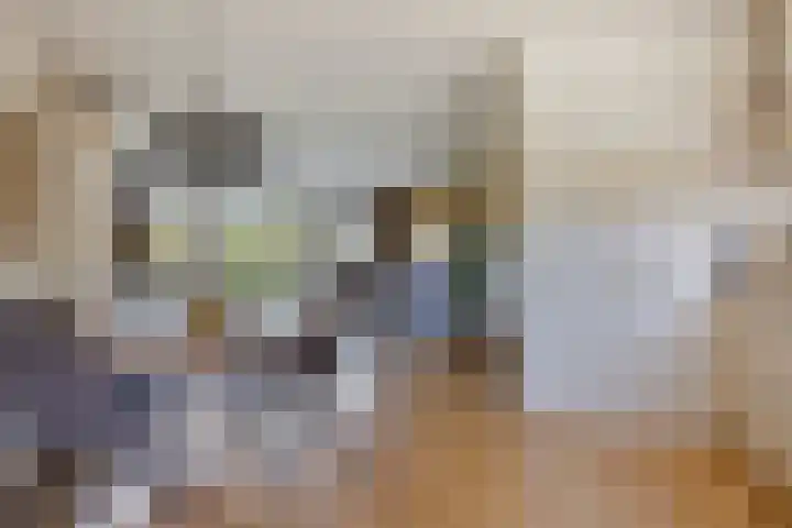 Treviso 24 Krimpen aan den IJssel thumbnail 8