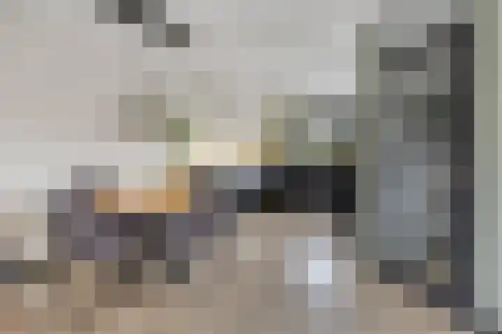 Treviso 25 Krimpen aan den IJssel thumbnail 10