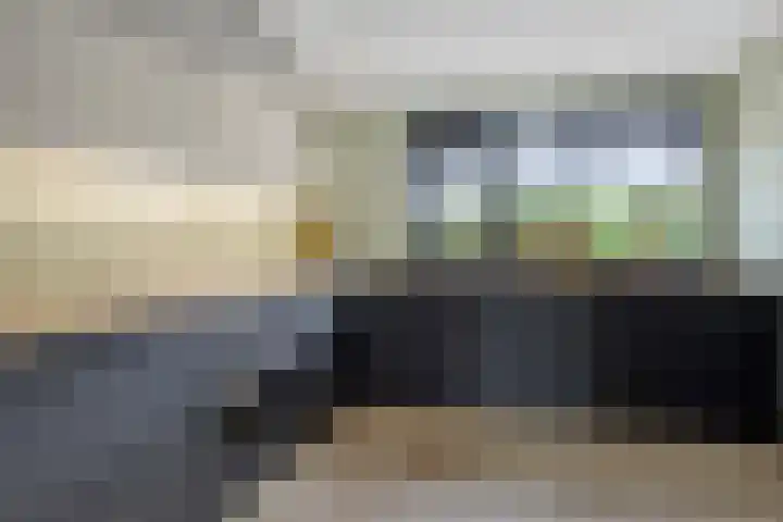 Treviso 25 Krimpen aan den IJssel thumbnail 11