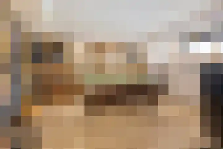 Treviso 25 Krimpen aan den IJssel thumbnail 31