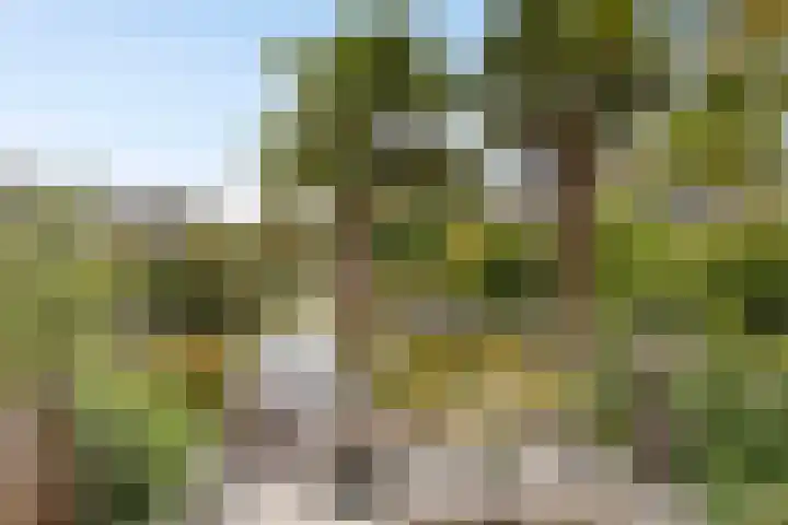 Treviso 25 Krimpen aan den IJssel thumbnail 39
