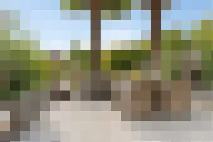 Treviso 25 Krimpen aan den IJssel thumbnail 40