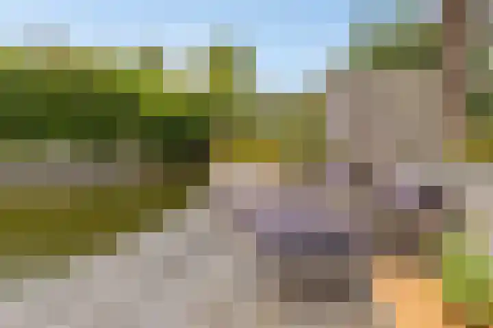 Treviso 25 Krimpen aan den IJssel thumbnail 41