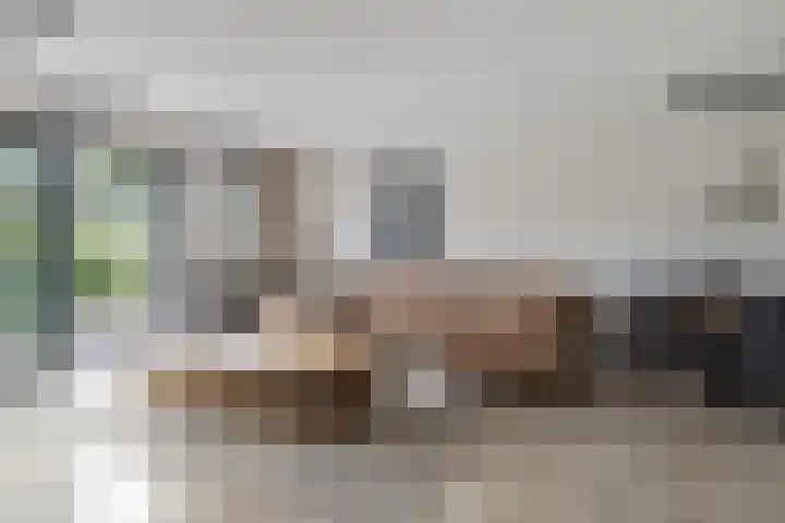 Treviso 25 Krimpen aan den IJssel thumbnail 5