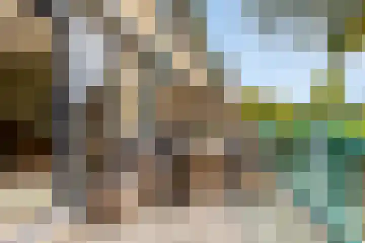 Treviso 25 Krimpen aan den IJssel thumbnail 6