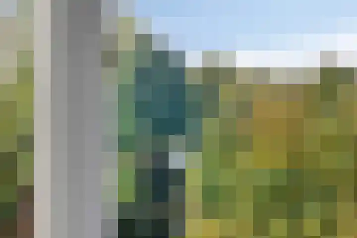 Treviso 49 Krimpen aan den IJssel thumbnail 13
