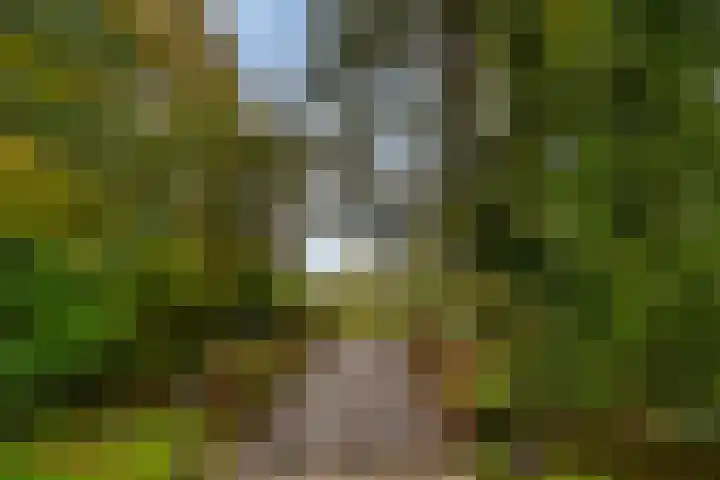 Treviso 49 Krimpen aan den IJssel thumbnail 36