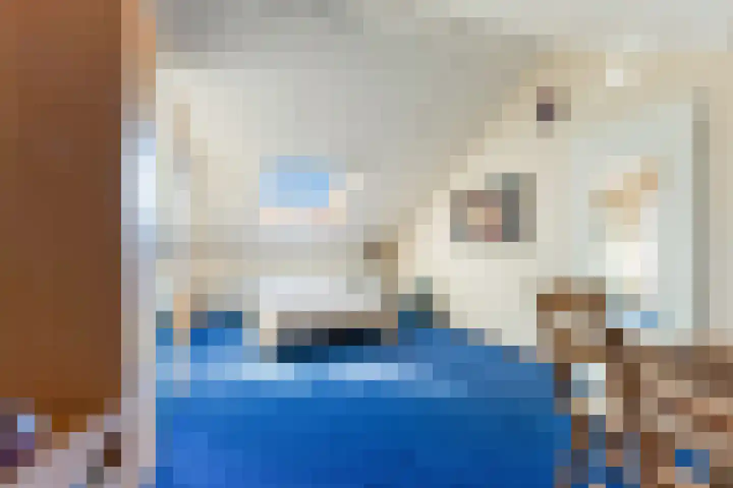 Treviso 76 Krimpen aan den IJssel thumbnail 30