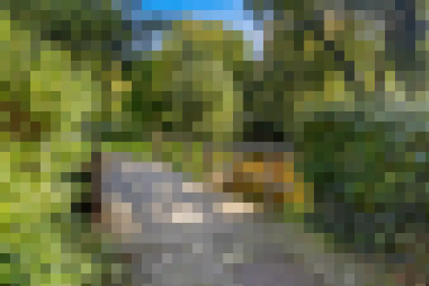 Treviso 76 Krimpen aan den IJssel thumbnail 39