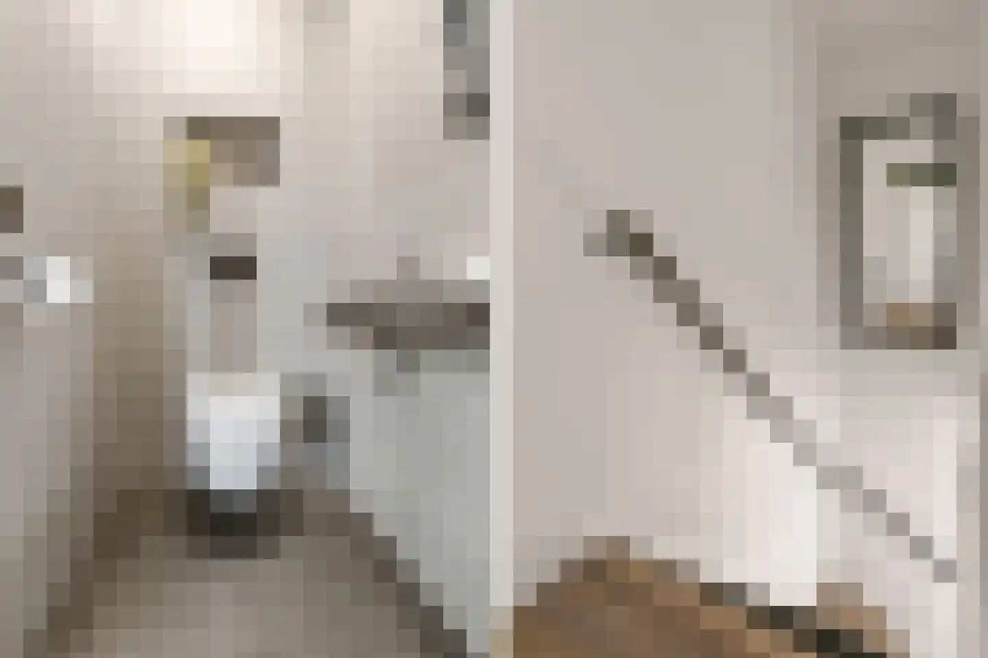 Trévouxperenlaan 38 Vleuten thumbnail 13
