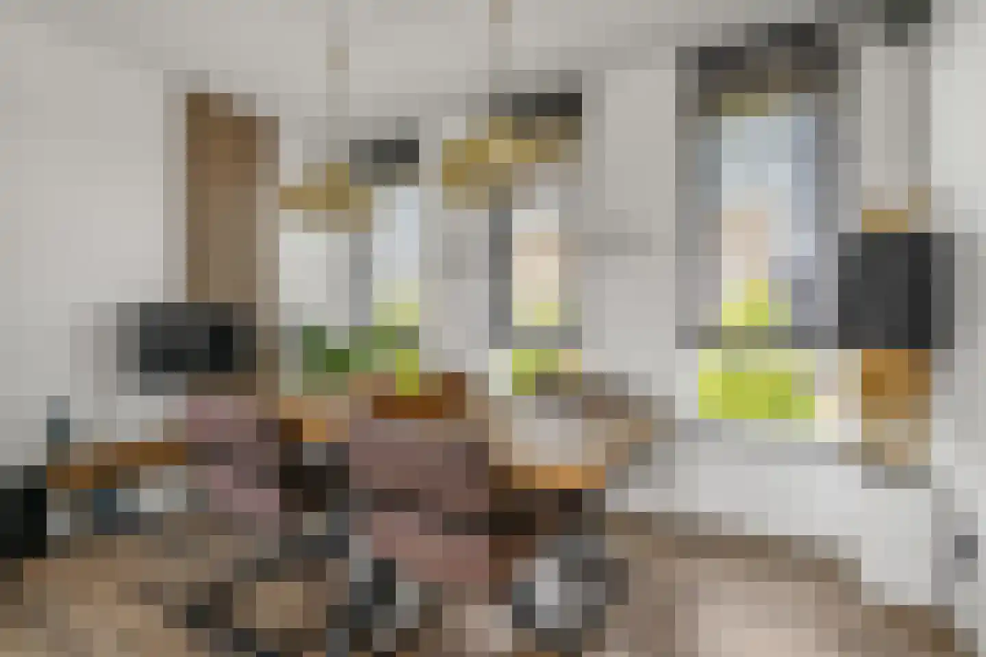 Trévouxperenlaan 38 Vleuten thumbnail 15