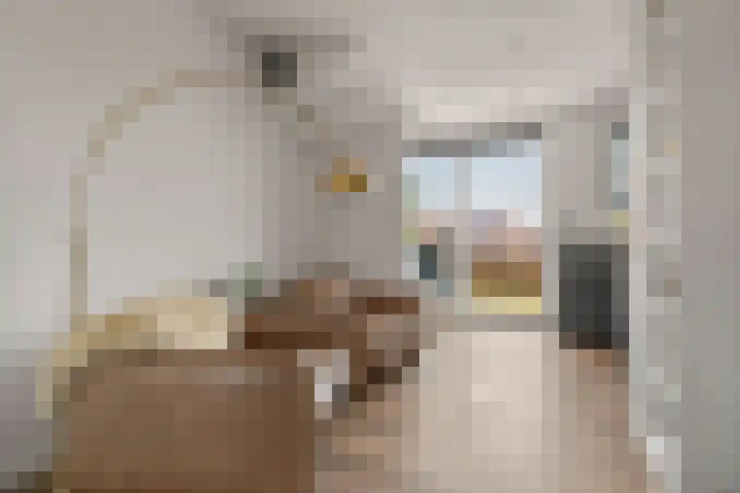 Trévouxperenlaan 38 Vleuten thumbnail 17