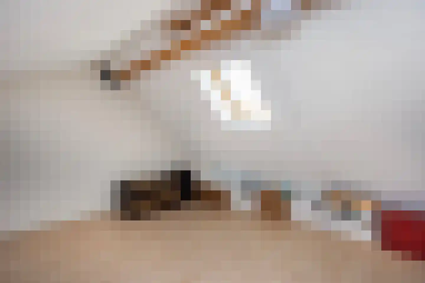 Trévouxperenlaan 46 Vleuten thumbnail 28