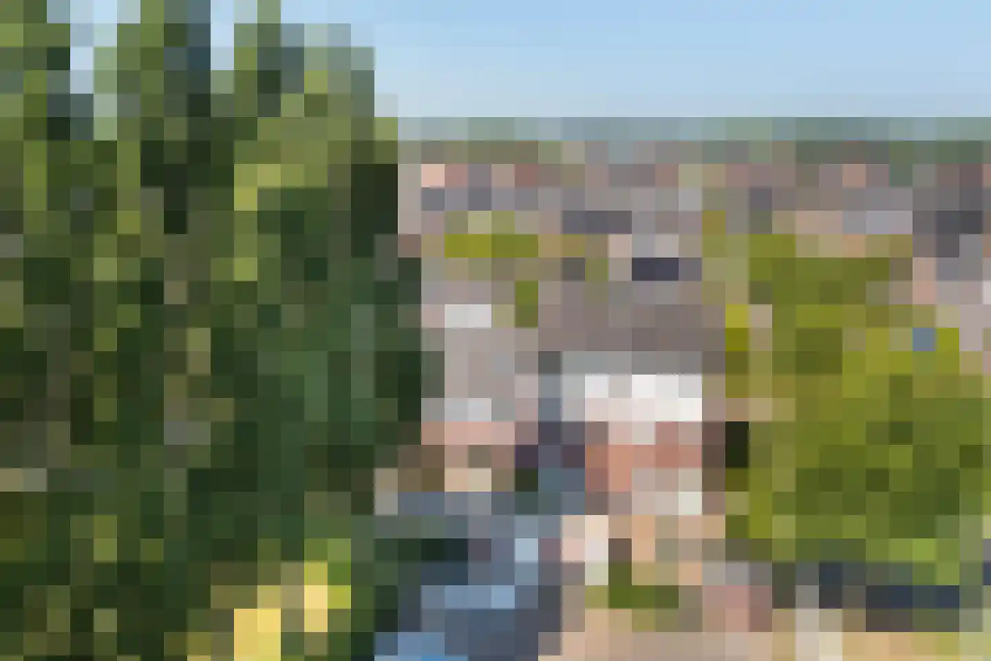 Trévouxperenlaan 46 Vleuten thumbnail 35