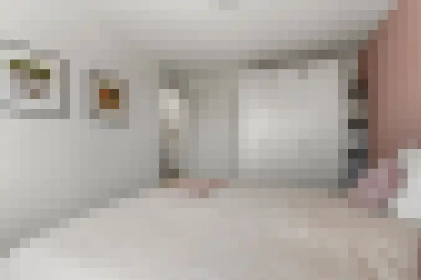 Trévouxperenlaan 59 Vleuten thumbnail 16
