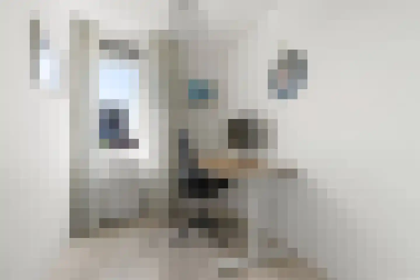 Trévouxperenlaan 59 Vleuten thumbnail 17