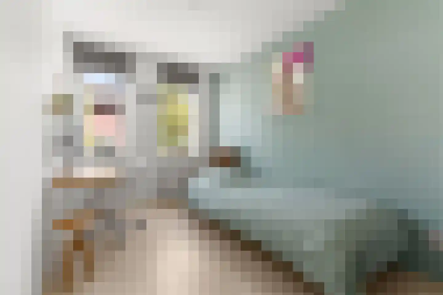 Trévouxperenlaan 59 Vleuten thumbnail 19