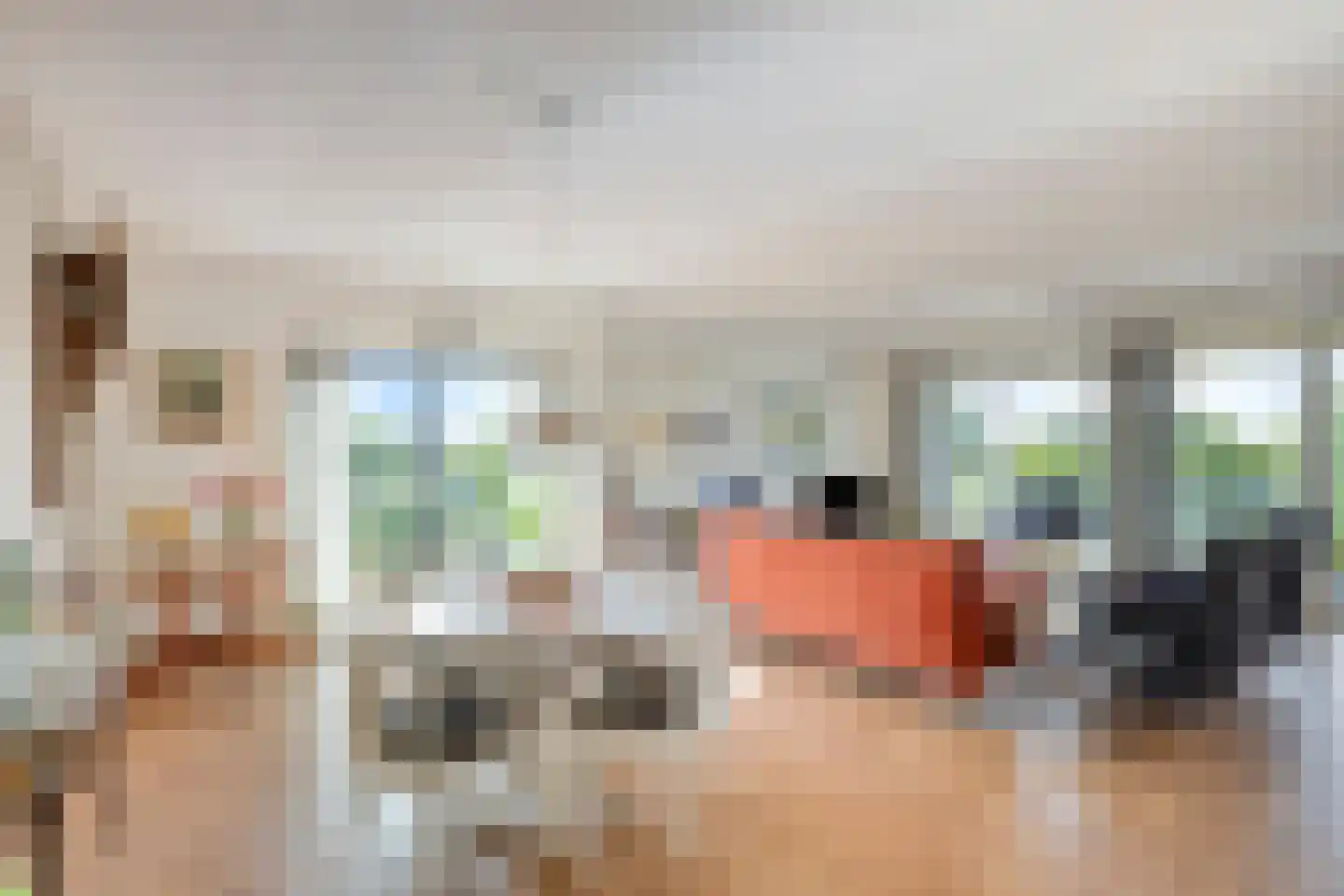 Triade 14 Castricum thumbnail 14