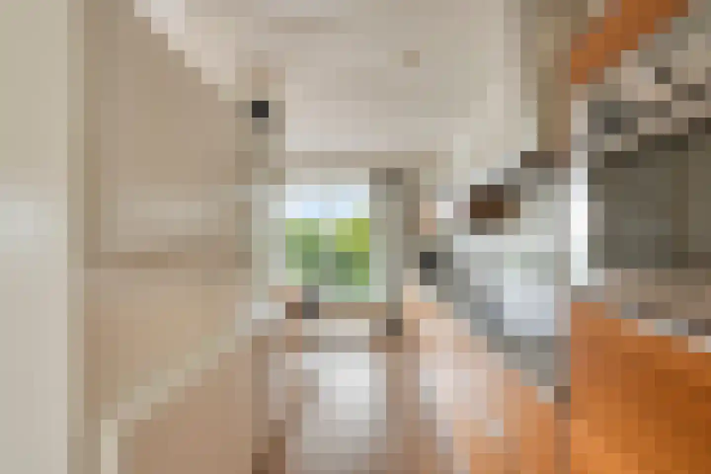 Triade 14 Castricum thumbnail 21