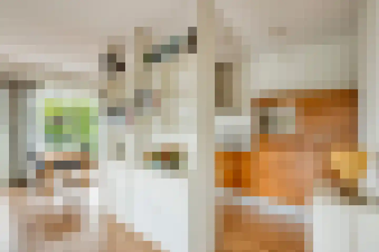 Triade 14 Castricum thumbnail 22