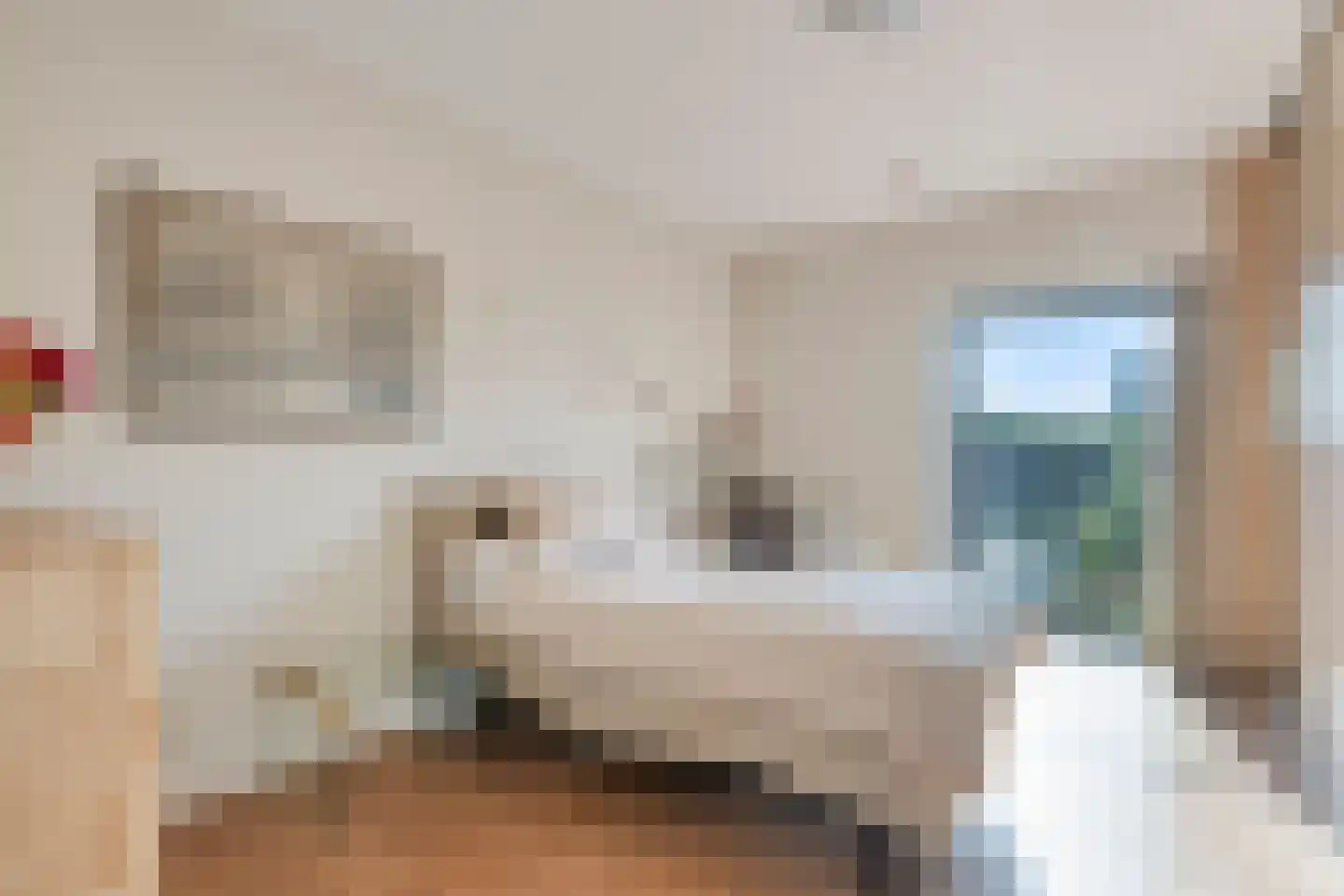 Triade 14 Castricum thumbnail 23
