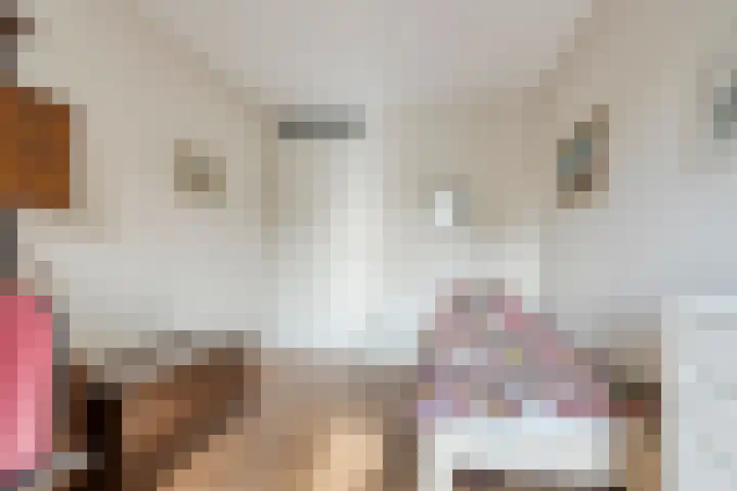 Triade 14 Castricum thumbnail 25