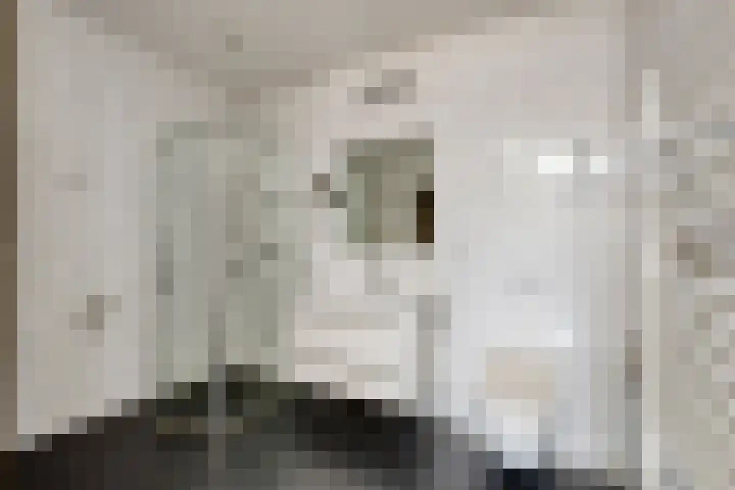 Triade 14 Castricum thumbnail 27
