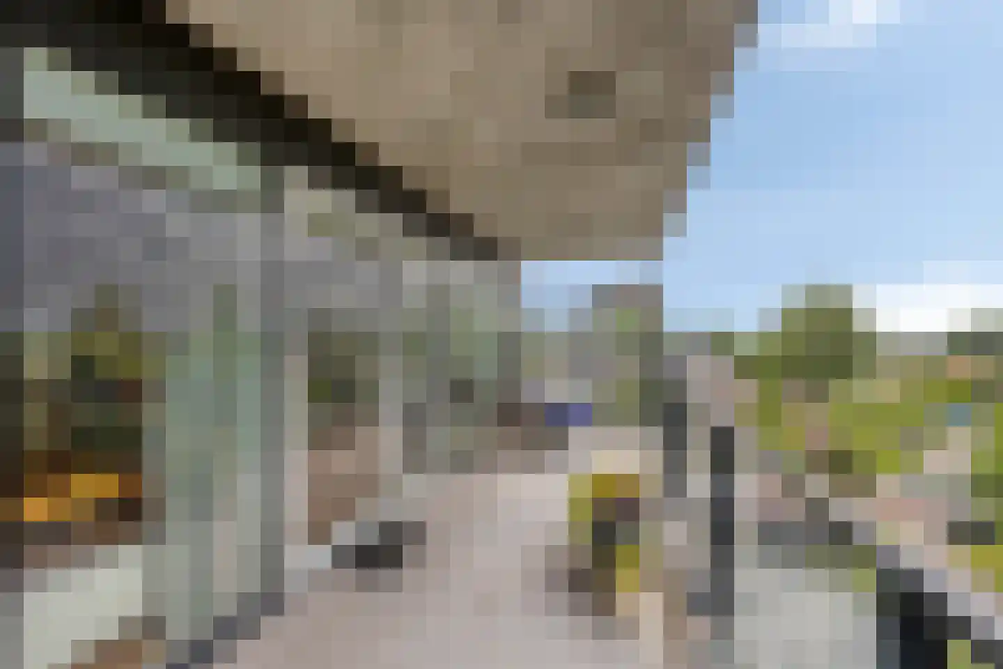 Triade 14 Castricum thumbnail 33