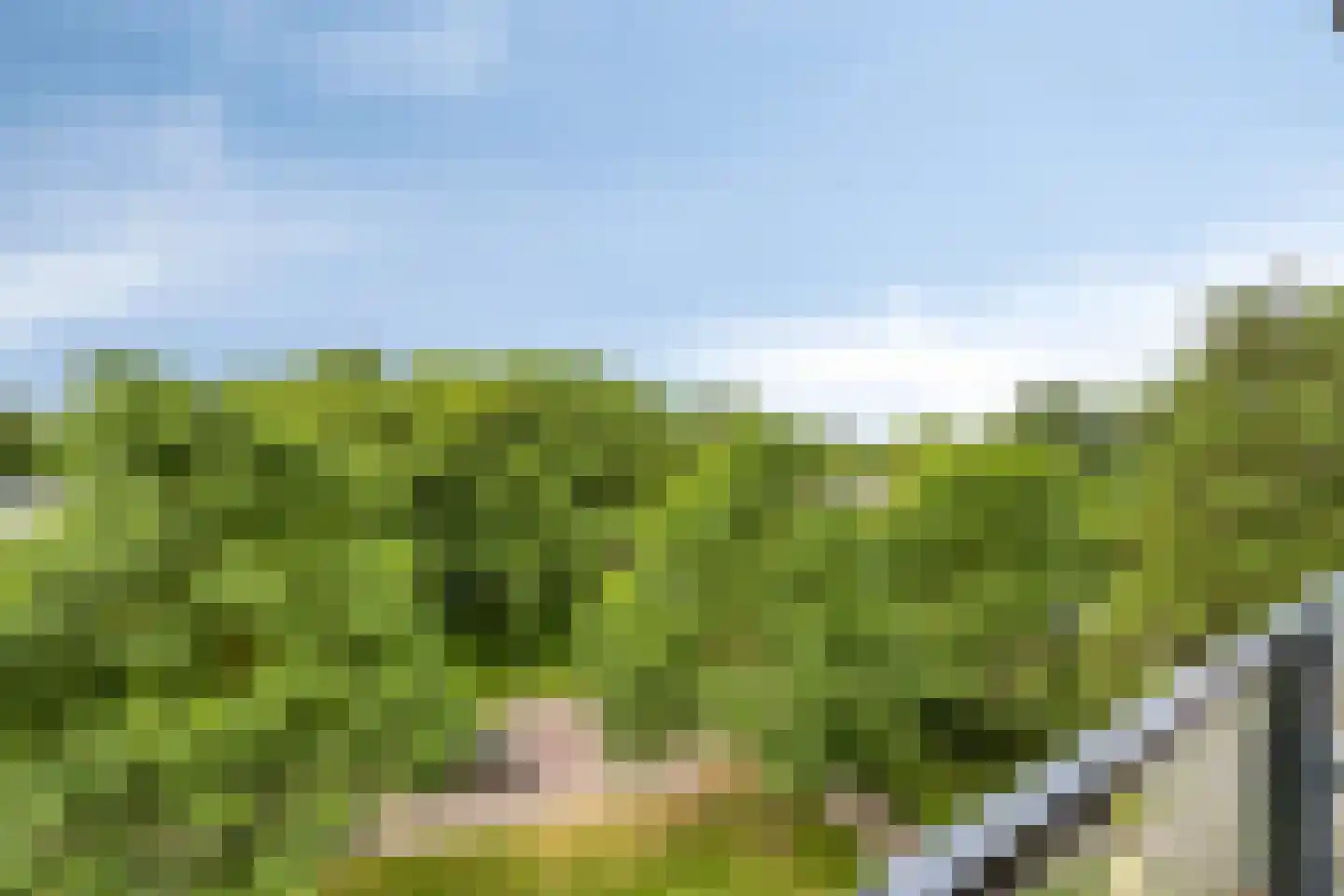 Triade 14 Castricum thumbnail 34