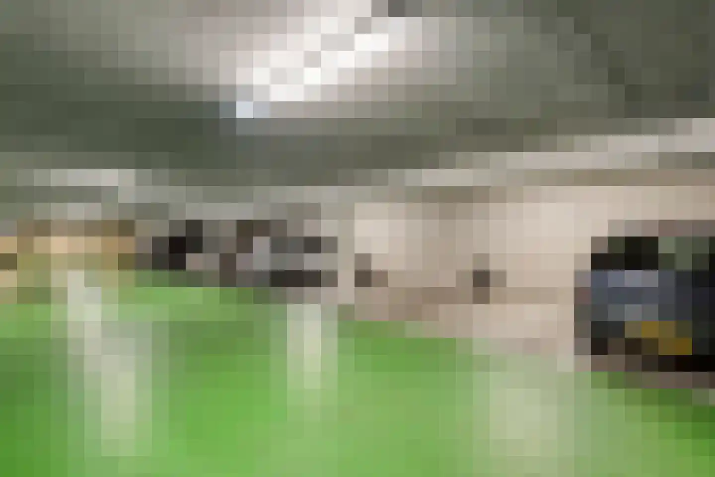 Triade 14 Castricum thumbnail 38