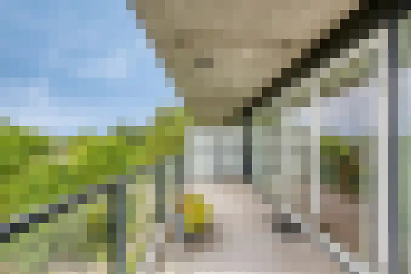 Triade 14 Castricum thumbnail 4
